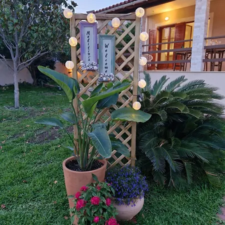 Melitini's